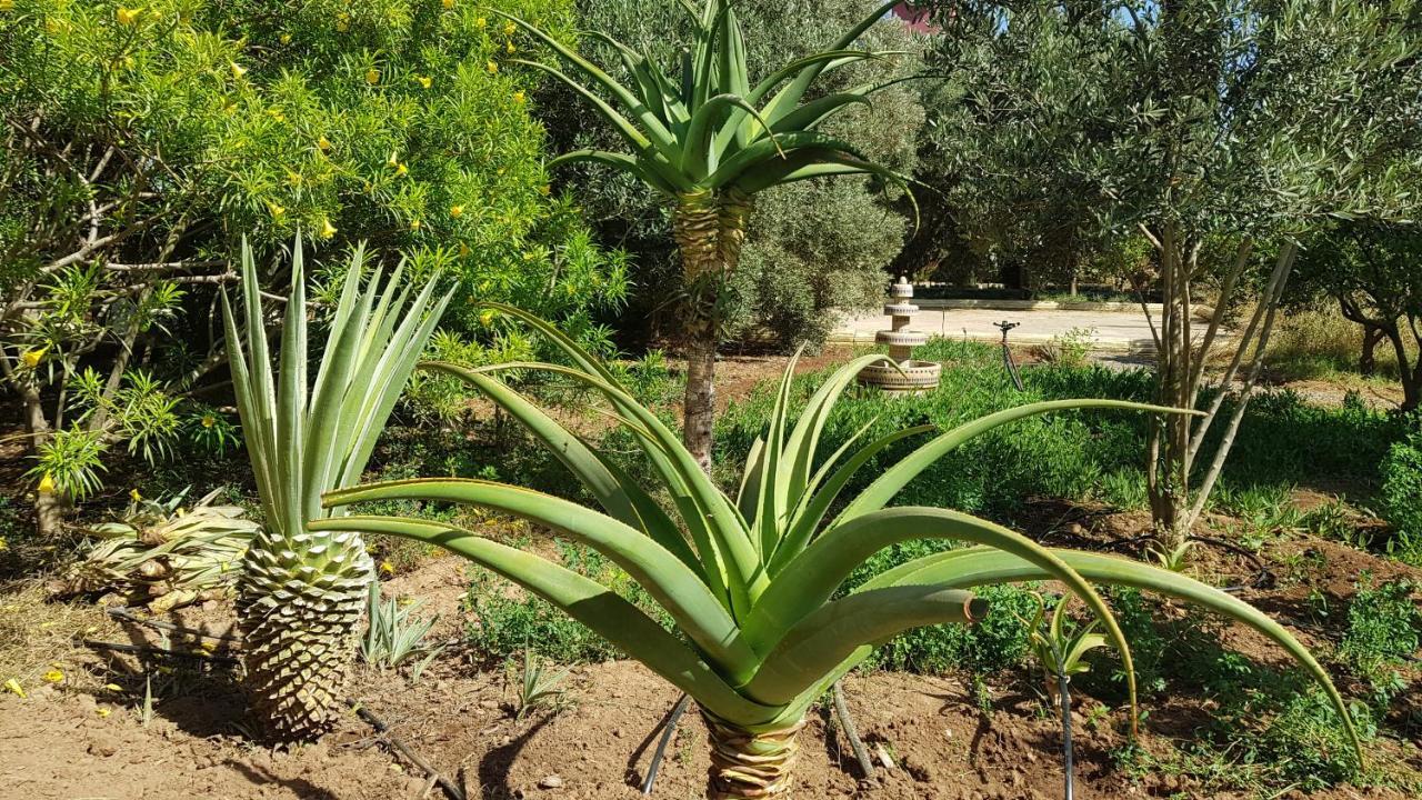 Riad-Villa Agadir-Taroudant Sidi Boumoussa Ngoại thất bức ảnh